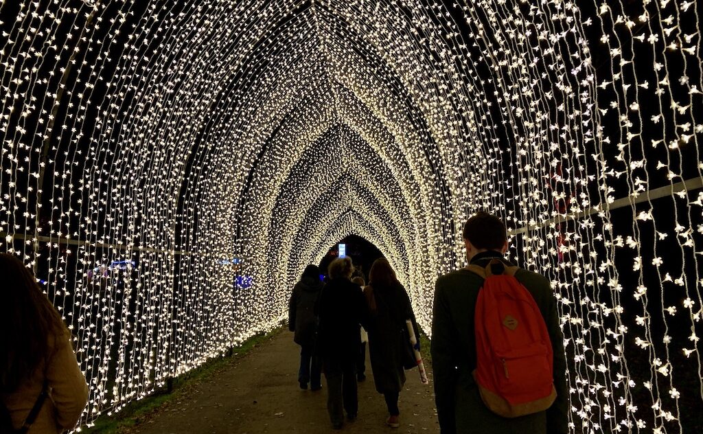 Christmas at Kew - cathedral of lights