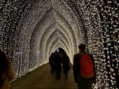 Christmas at Kew - cathedral of lights